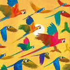 Illustrations of parrots flying through the air from the front cover of There Are Birds Everywhere