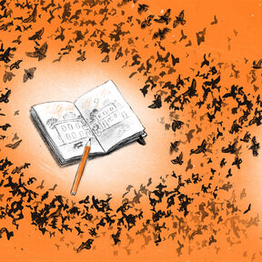 An illustration from the front cover of Wild Journey - a pencil resting on an open book with an illustration of a grand house on its pages, surrounded by birds