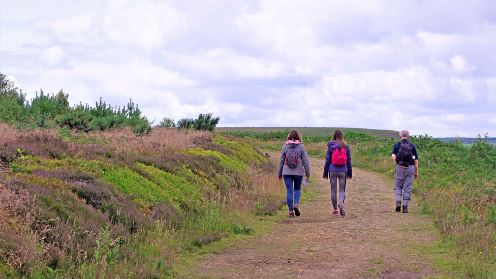 three people with backpacks walking on a dirt path