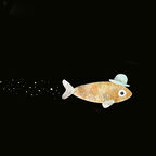 An illustration of a fish wearing a bowler hat from the front cover of This IS Not My Hat