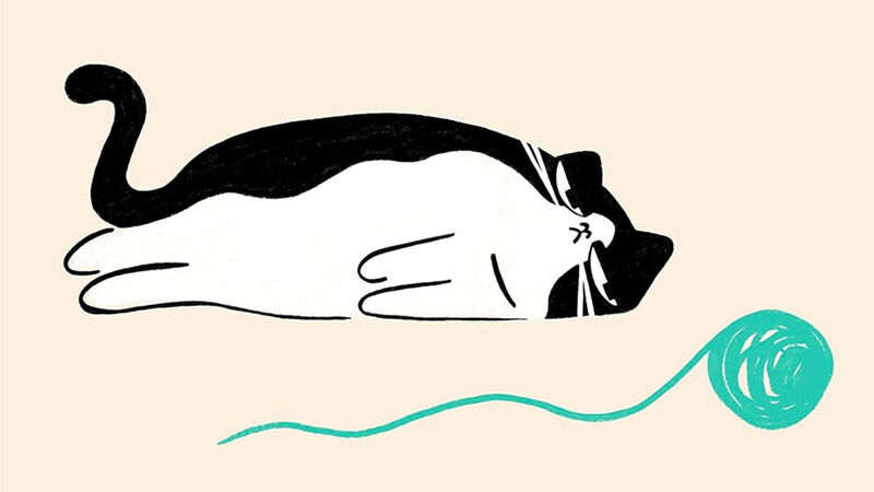 An illustration from the front cover of The Cat Who Couldn't Be Bothered - a cat lying lazily on the ground scowling at a ball of wool nearby