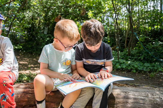 Two boys are sat on a log outside, reading a picture book together.