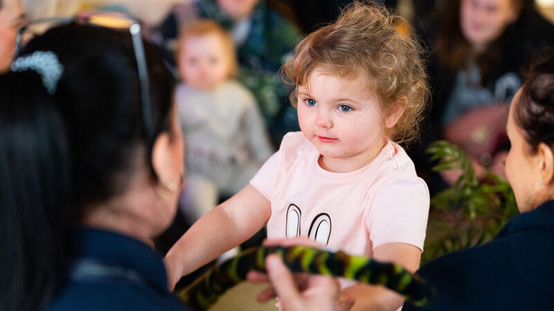 A child watching a story time session, standing up to get closer to the early years practitioner leading the session