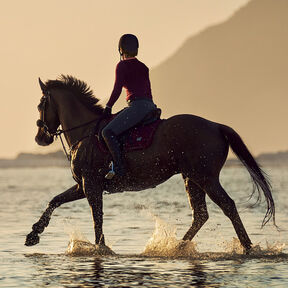 A photo of someone riding a horse through water by a beach at sunset, from the front cover of Wild Horse Summer