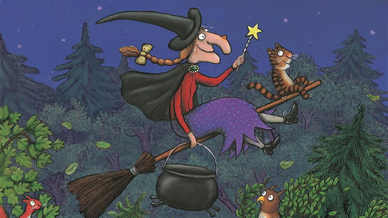 An illustration from the front cover of Room on the Broom - a witch sitting on a broomstick holding a cauldron and a wand, with a cat balanced on the front of the broomstick; they are flying above trees and surprised animals