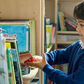 Primary school boy choosing book