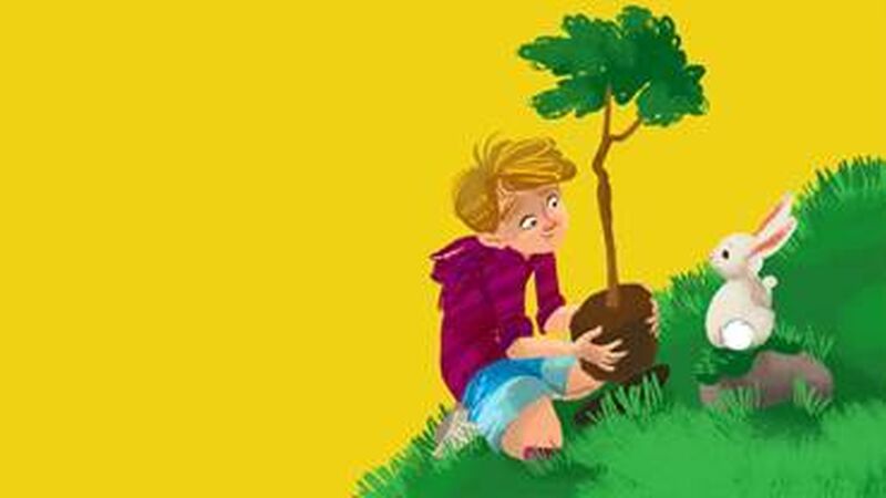 Illustration of a boy sitting with a rabbit and a tree.
