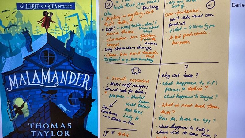 A discussion of the book Malamander